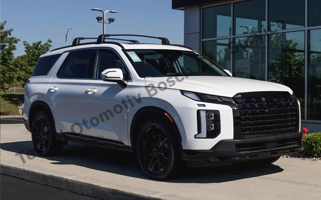 Diyarbakır´da Hyundai Sahiplerine Özel Çözümler